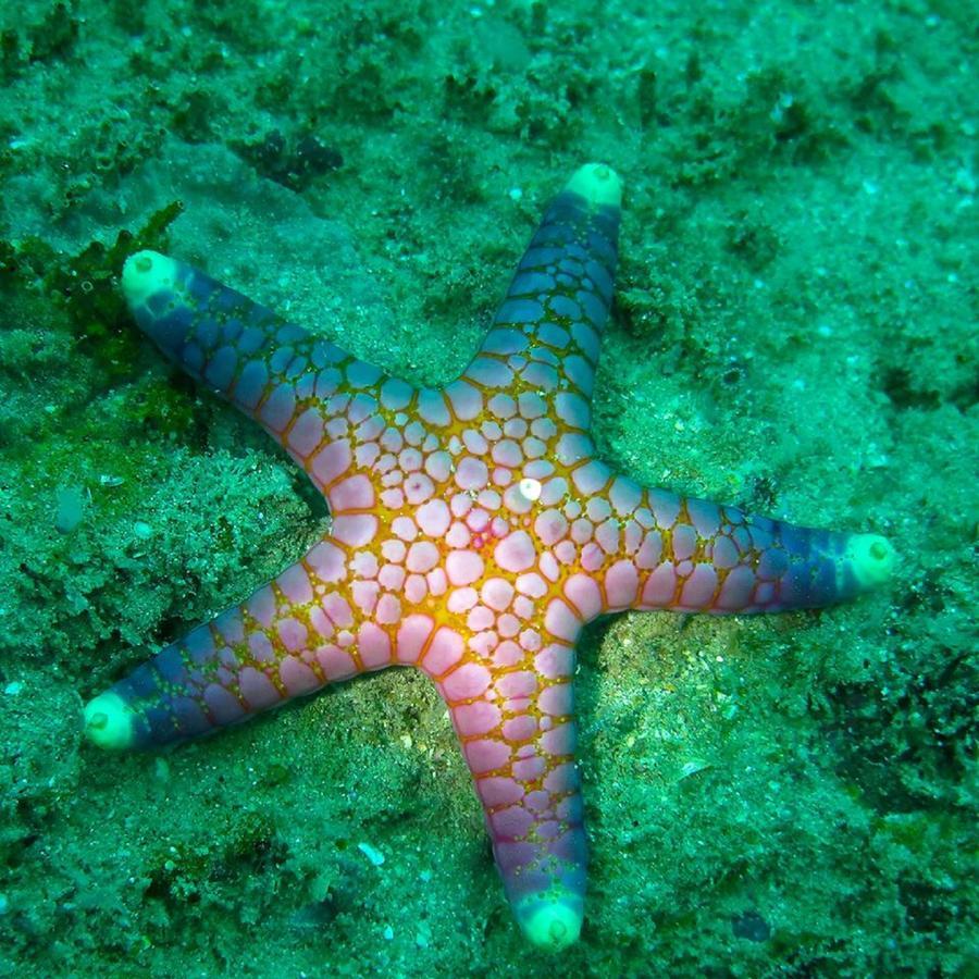 Seadina Coral Home Matara Exteriér fotografie