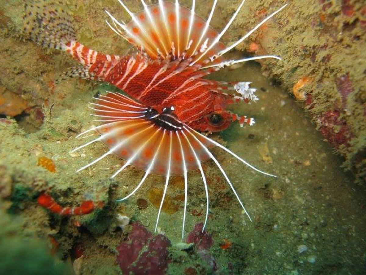 Seadina Coral Home Matara Exteriér fotografie